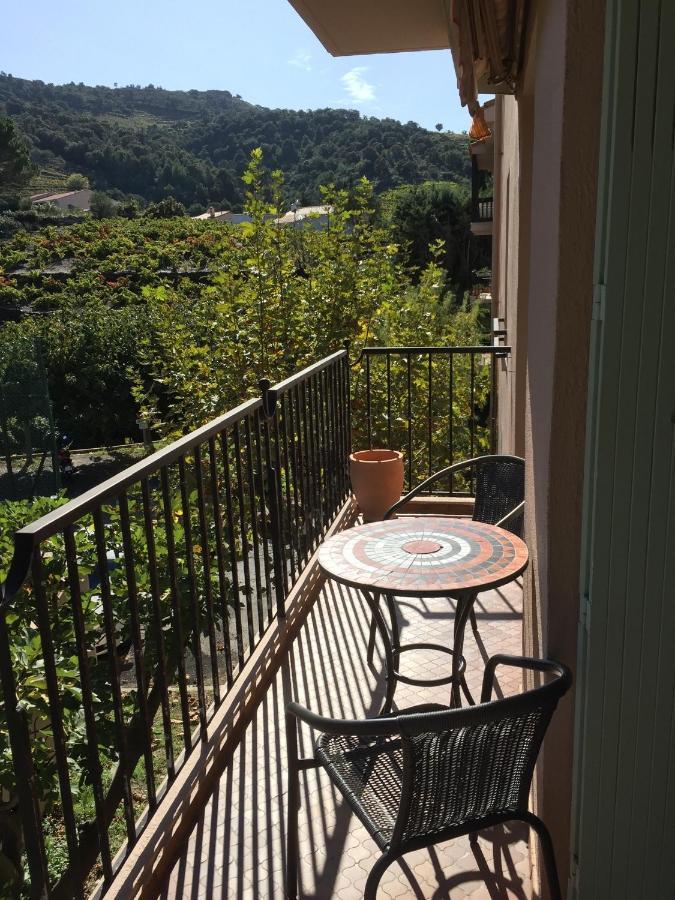 Olive & Kin, Collioure