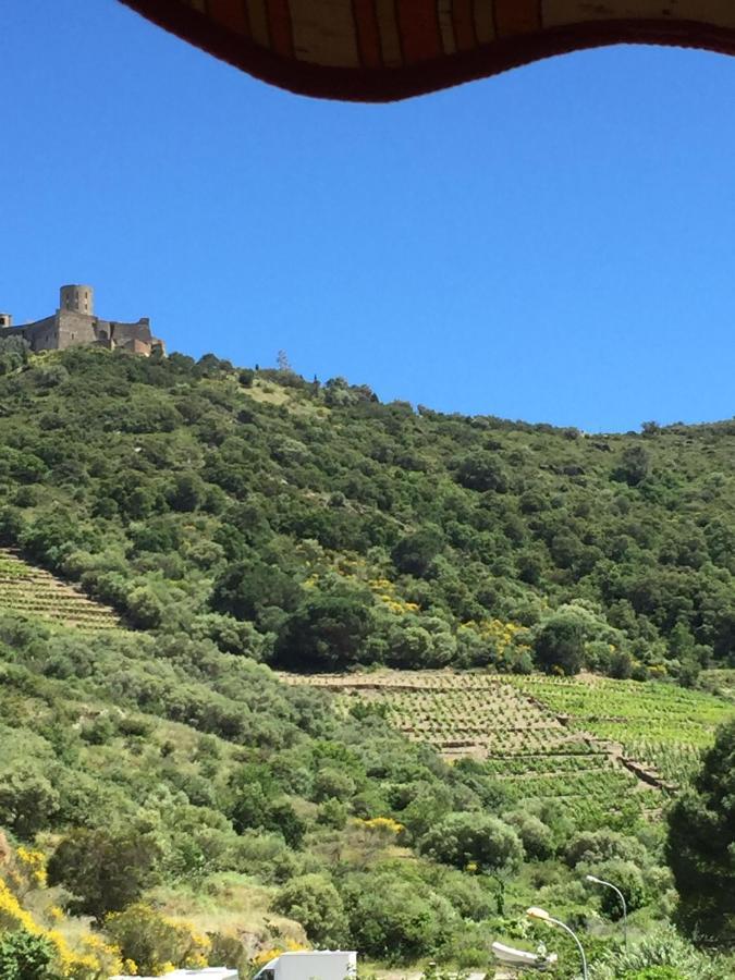 Apartment Olive & Kin, Collioure