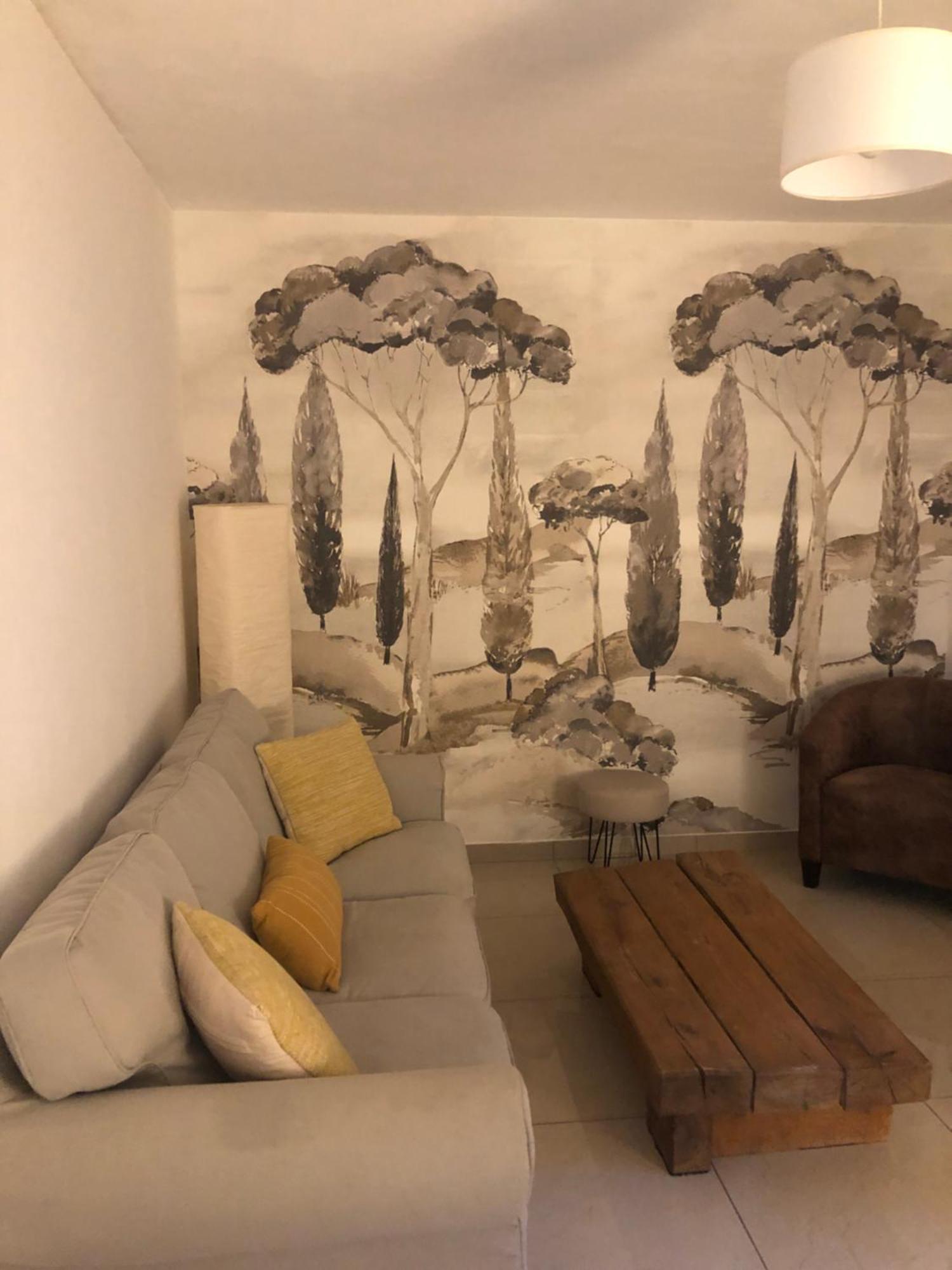 Olive & Kin, Collioure